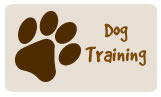 dog_training_button